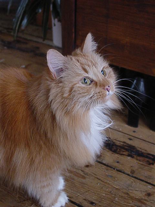 Flop en Spook  _05-02-13_02.JPG